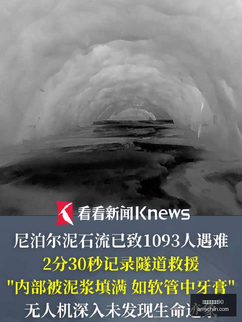 皇马转会传,阿方索,万欧转会费,意甲免费直播90,意甲直播,足球直播,意甲赛程,球赛直播