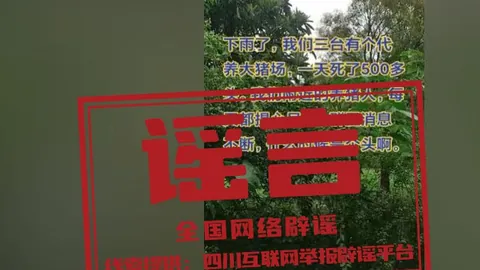 雅迪电动车：非洲市场争霸，电鸡之王的扩张之路